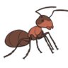 Ant Vaz's profile picture