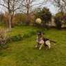 delbe profil fotoğrafı