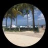 BrenUSA3🇺🇸's profile picture