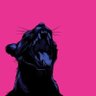Bigcat's profile picture