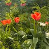 Фото профиля Olga 🌺
