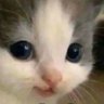 mark's profile picture