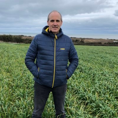 TonyBel88788442's profile picture