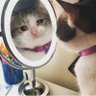 siapainuw's profile picture