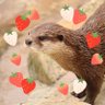 こーぴ☺︎ 🌶️🍓⚾️🦄👑☕️🐰💖🐿️📦 profil fotoğrafı