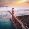 SF_TERF_CENTRAL 的头像