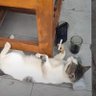 Фото профиля Иван Королев