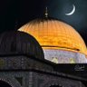Фото профиля الشهباء،
