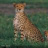 Фото профиля Parrel