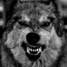 Profilbild von Zuber imtiyaz