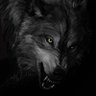 Onurbekci's profile picture