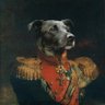 Quesada profil fotoğrafı