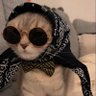 🐾PawPie's profile picture