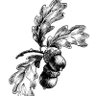 Profilbild von Stekpannan