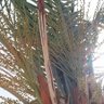 حيدر العكيلي's profile picture