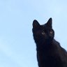 Julia's profile picture