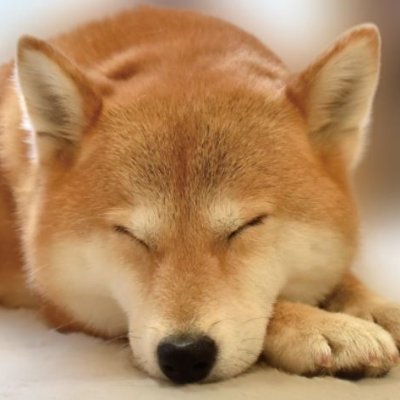 hawkshawksxxx's profile picture