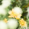 翔〜eternal〜 profil fotoğrafı