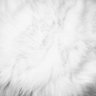 unknown🐰🧨's profile picture