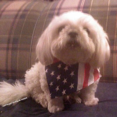 Boogie Underground's profile picture