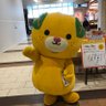 遠藤真靖 profil fotoğrafı