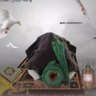 السومري العراقي profil fotoğrafı