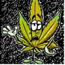 Profilbild von AnonGrower