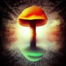 LeUbermensch's profile picture