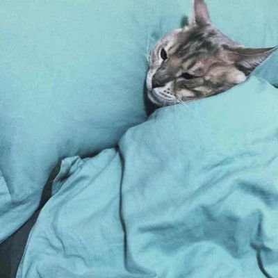 fkxiamu888's profile picture
