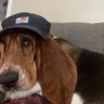 Profilbild von marty34256