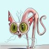 Владислав Шмелев's profile picture