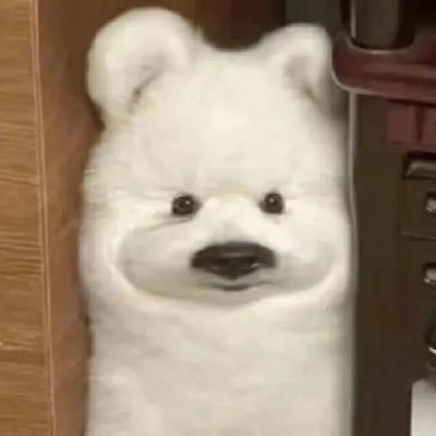 JiuMengCunZhi's profile picture