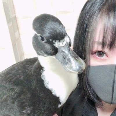 dillinger_duck's profile picture