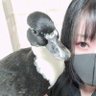 あひるさん's profile picture