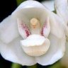Karin Glaeser's profile picture