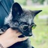kariyuu ✙ profil fotoğrafı