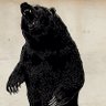 The Endless Buffet's profile picture