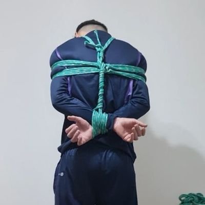 Mauro__Roll's profile picture