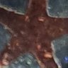 M.kh.44's profile picture