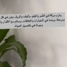 Mona Al-otaibi 的头像