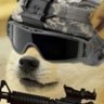 Tac-tard Bravo-9 profil fotoğrafı