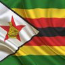 Zimbabwean's profile picture