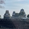 Фото профиля ごんちゃん