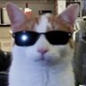 Profilbild von 究极乐子人