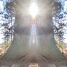Фото профиля よんたろう