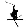 Ski Bum 的头像