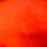 sauceMami's profile picture