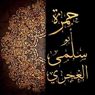 hamzaabouselma's profile picture
