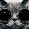 Фото профиля alan