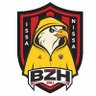 Brest de Nice - Secioun BZH 🔴⚫️🦅's profile picture
